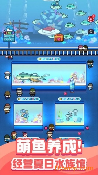 小小水族馆手机版 V1.0 安卓版