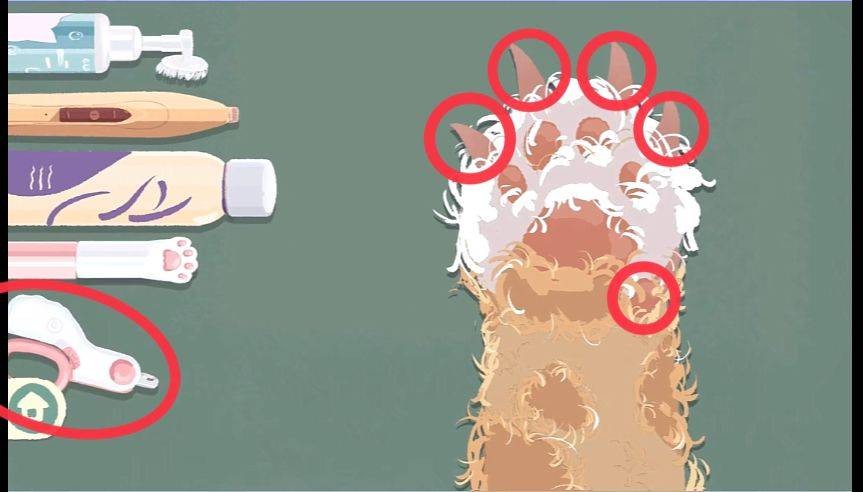 《收纳物语》猫爪怎么过