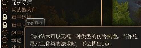 博德之门3法师搭配攻略图14