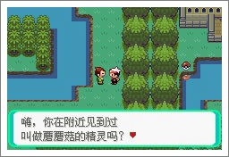 口袋妖怪漆黑的魅影5.0ex+bw攻略图片19