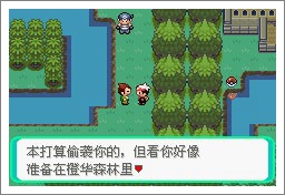 口袋妖怪漆黑的魅影5.0ex+bw攻略图片20