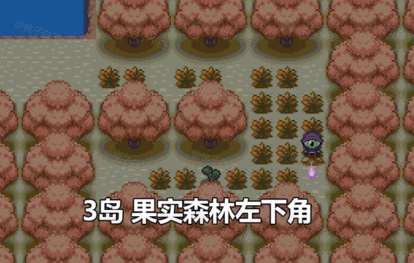 Pokemmo2023万圣节关都区域全鬼火分布位置图5