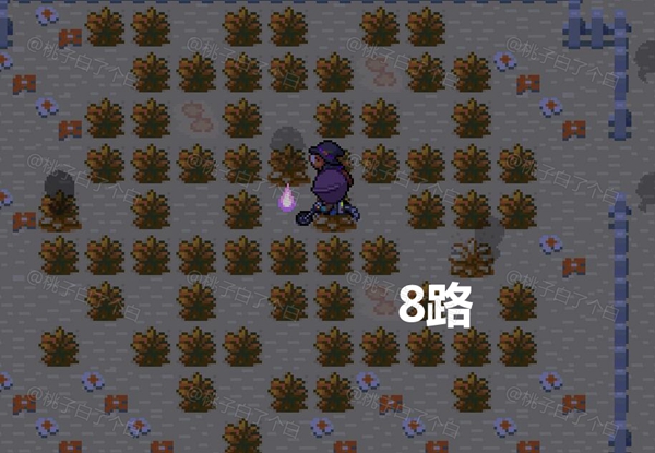 Pokemmo2023万圣节关都区域全鬼火分布位置图9