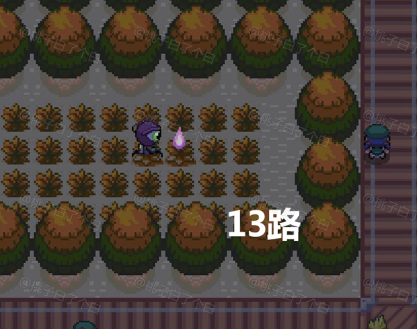 Pokemmo2023万圣节关都区域全鬼火分布位置图10