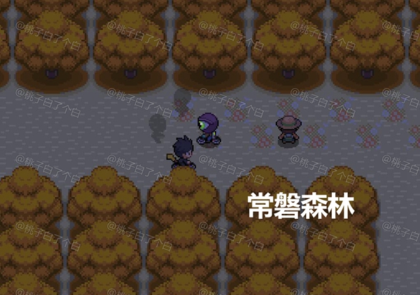 Pokemmo2023万圣节关都区域全鬼火分布位置图15